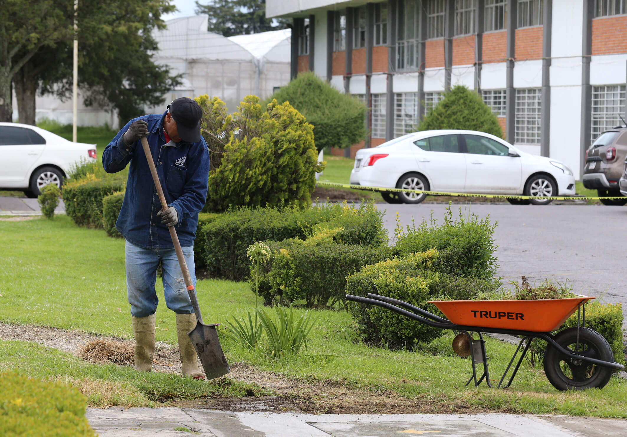 3-Obra Universitaria
