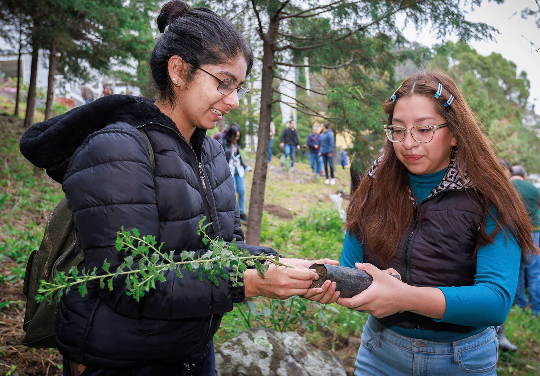 Incidencia-y-reconocimiento_9